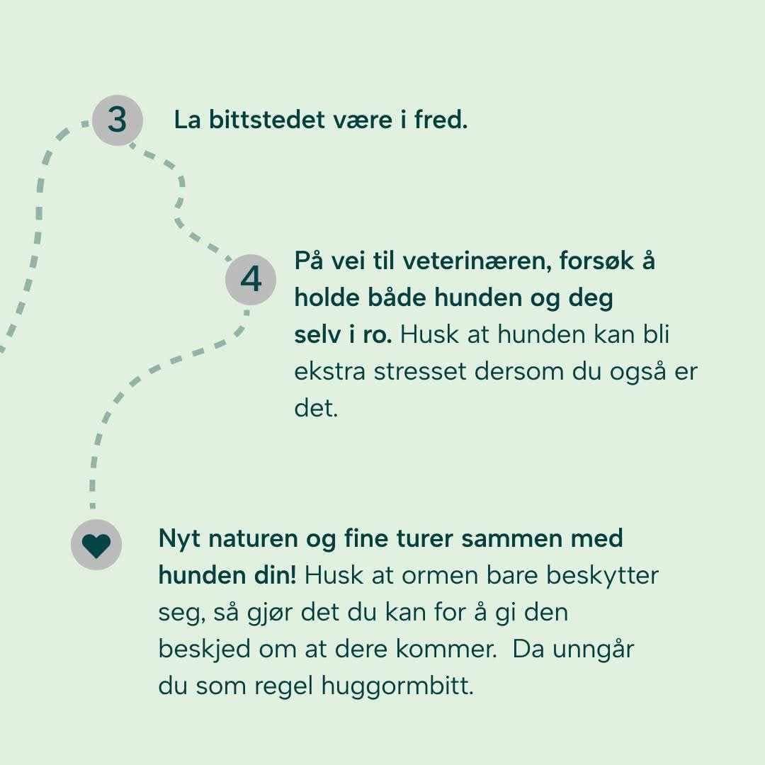 Åpningstilbud