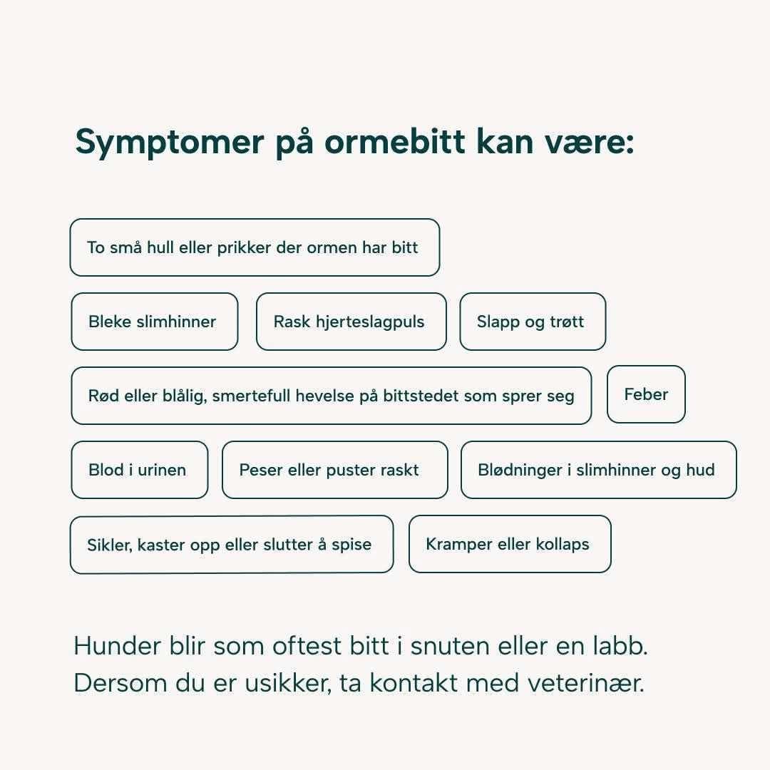 Åpningstilbud